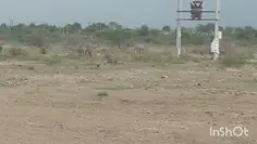 Featured post 6