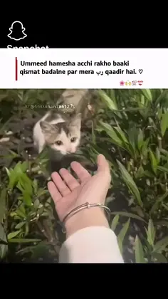 Featured post 1