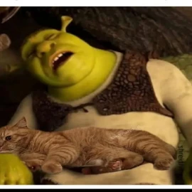 sherk house profile image