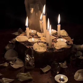Tarot Reader profile image