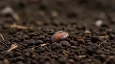 Featured post 2