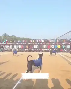 Featured post 2