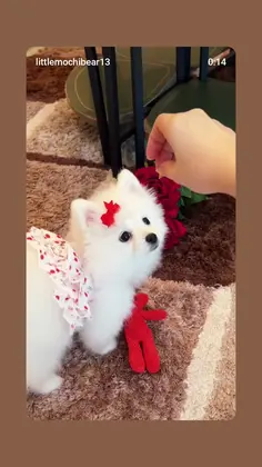 Featured post 3