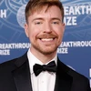 Creator avatar