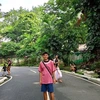 Creator avatar