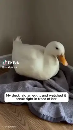 Featured post 5
