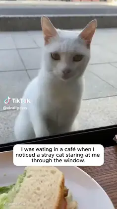 Featured post 3