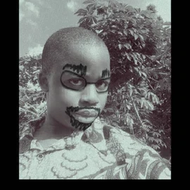 Vizzy B profile image