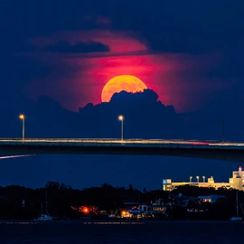 Beautiful Florida profile image