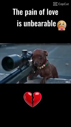 Featured post 1