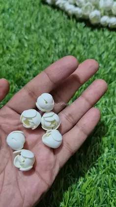Featured post 7