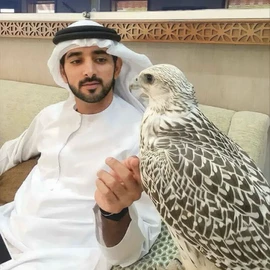 fazza hamdan profile image