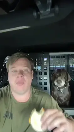 Featured pets content