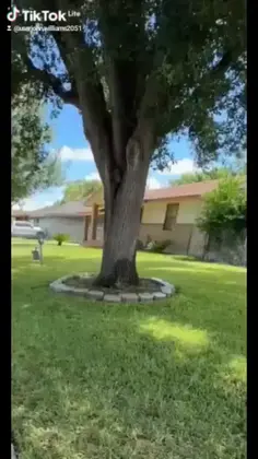 Featured post 1