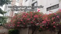 Featured post 1
