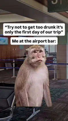 Featured post 2