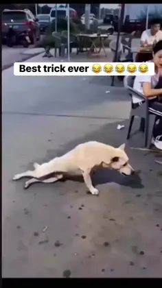 Featured post 6