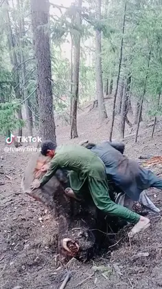 Featured post 1