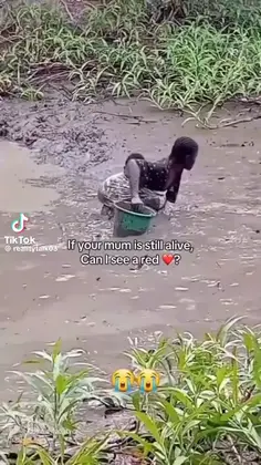 Featured post 7