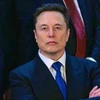 Creator avatar