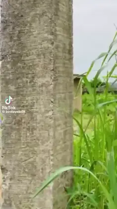 Featured post 1