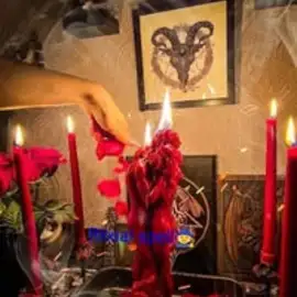 Tarot De Maria profile image