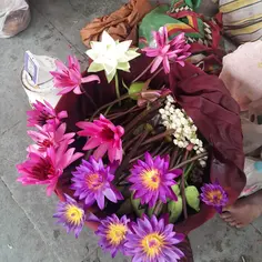 Featured post 6