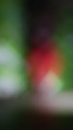 Featured post 6