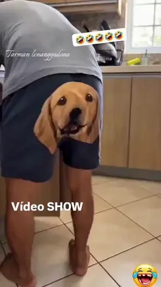 Featured funny content