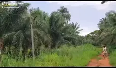 Featured post 2