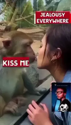 Featured post 4
