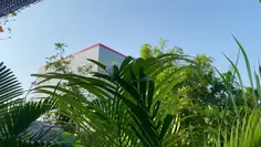 Featured post 2