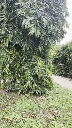 Featured post 2