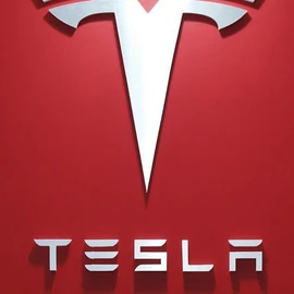telsa management profile image