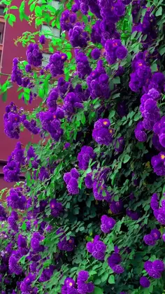 Featured post 3