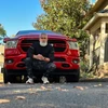 Creator avatar