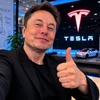 Creator avatar