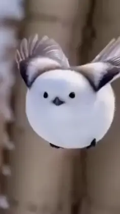 Featured post 1