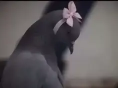 Featured post 2