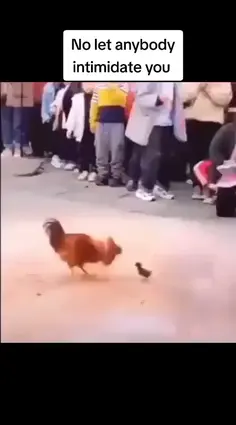 Featured post 1