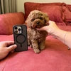 Creator avatar