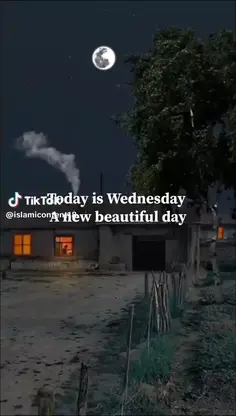 Featured post 8