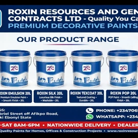 ROXIN SUPER PAINT profile image
