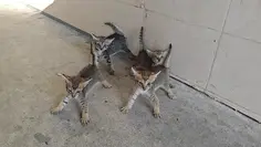 Featured post 3