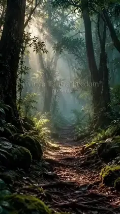 Featured post 2