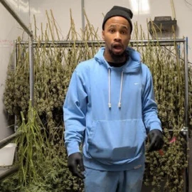 ColdroomDrip🌲⛽ profile image