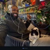 Creator avatar