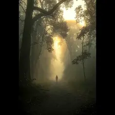 Featured post 1