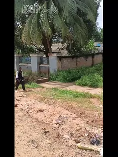 Featured post 1
