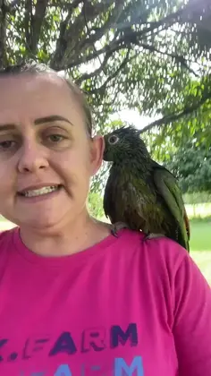 My Parrot Won't Let Me Get A Word In Edgewise